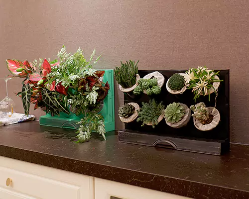 A színes virágcserepek minden nap olyan érzést keltenek a növényeimben, mintha nyaralnának