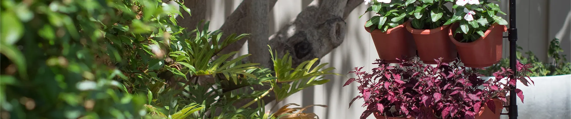 Öko kertészet függőleges kert