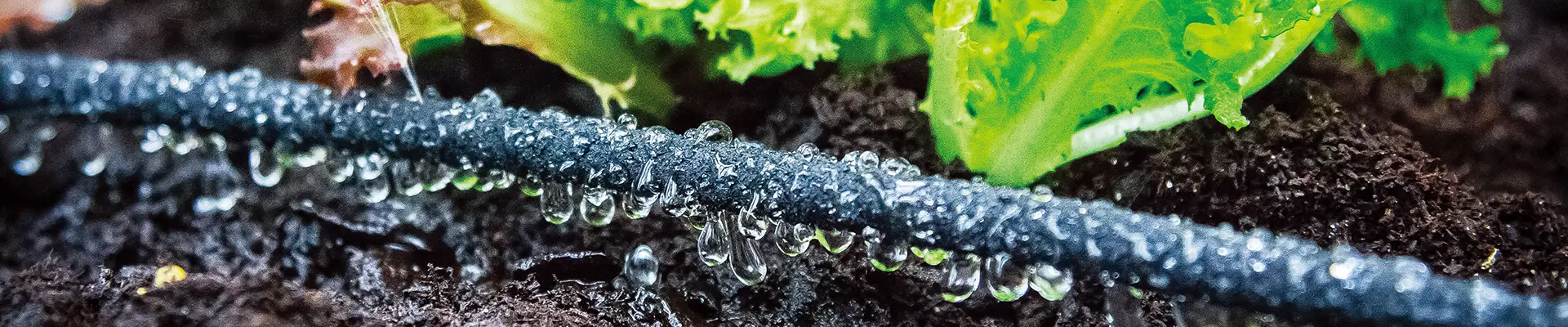 DIY öntözőkészlet