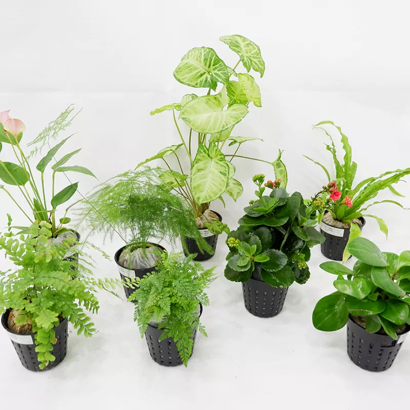 PP anyagú 3 hüvelykes belső vetőgép